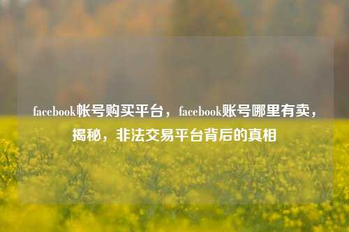 facebook帐号购买平台，facebook账号哪里有卖	，揭秘，非法交易平台背后的真相  第1张