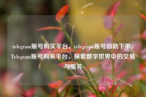 telegram账号购买平台，telegraph账号自助下单，Telegram账号购买平台，探索数字世界中的交易与服务