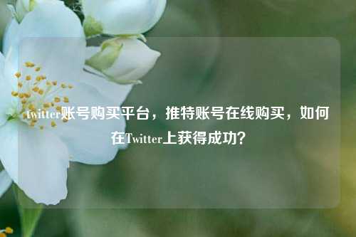 twitter账号购买平台，推特账号在线购买，如何在Twitter上获得成功？