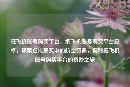 纸飞机账号购买平台，纸飞机账号购买平台安卓，探索虚拟现实中的航空奇遇，揭秘纸飞机账号购买平台的奇妙之旅
