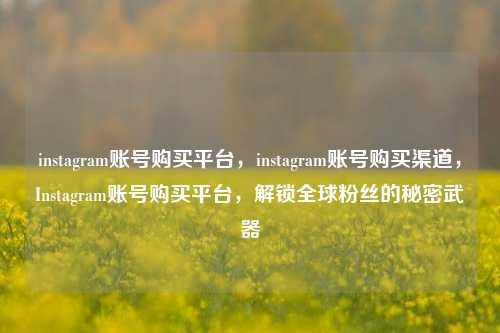 instagram账号购买平台，instagram账号购买渠道，Instagram账号购买平台，解锁全球粉丝的秘密武器