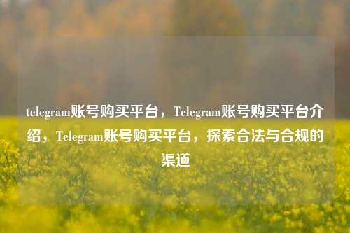 telegram账号购买平台，Telegram账号购买平台介绍，Telegram账号购买平台，探索合法与合规的渠道