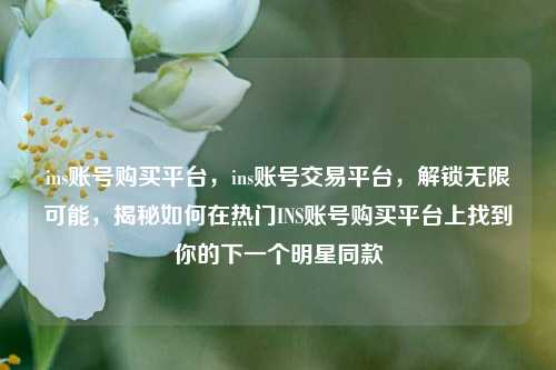 ins账号购买平台，ins账号交易平台，解锁无限可能，揭秘如何在热门INS账号购买平台上找到你的下一个明星同款
