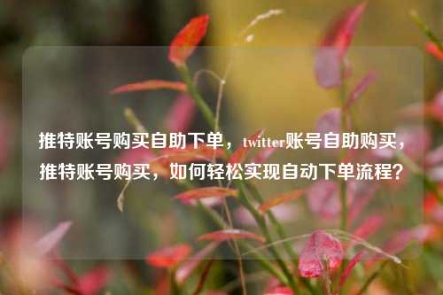 推特账号购买自助下单，twitter账号自助购买，推特账号购买，如何轻松实现自动下单流程？