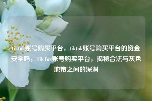 tiktok账号购买平台，tiktok账号购买平台的资金安全吗，TikTok账号购买平台，揭秘合法与灰色地带之间的深渊