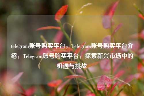 telegram账号购买平台，Telegram账号购买平台介绍，Telegram账号购买平台，探索新兴市场中的机遇与挑战