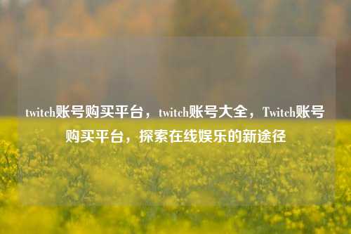 twitch账号购买平台，twitch账号大全，Twitch账号购买平台，探索在线娱乐的新途径