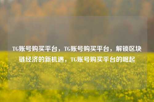 TG账号购买平台，TG账号购买平台，解锁区块链经济的新机遇，TG账号购买平台的崛起