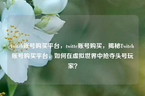 twitch账号购买平台，twitte账号购买	，揭秘Twitch账号购买平台，如何在虚拟世界中抢夺头号玩家？  第1张