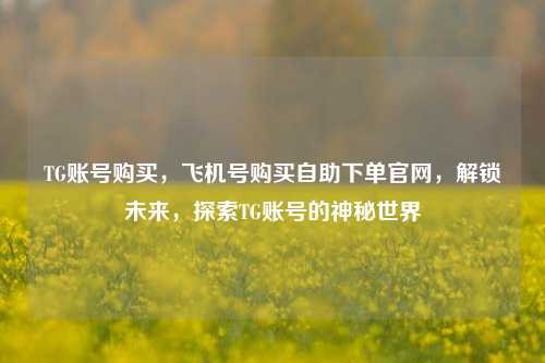 TG账号购买，飞机号购买自助下单官网，解锁未来，探索TG账号的神秘世界