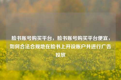 脸书账号购买平台，脸书账号购买平台便宜，如何合法合规地在脸书上开设账户并进行广告投放