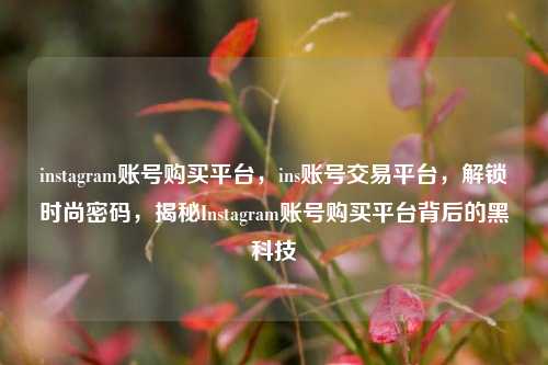 instagram账号购买平台，ins账号交易平台，解锁时尚密码，揭秘Instagram账号购买平台背后的黑科技