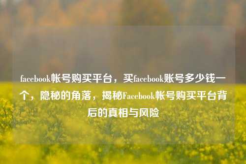 facebook帐号购买平台，买facebook账号多少钱一个，隐秘的角落，揭秘Facebook帐号购买平台背后的真相与风险