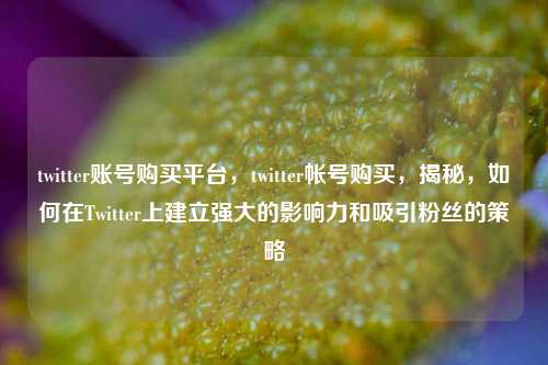 twitter账号购买平台，twitter帐号购买，揭秘，如何在Twitter上建立强大的影响力和吸引粉丝的策略