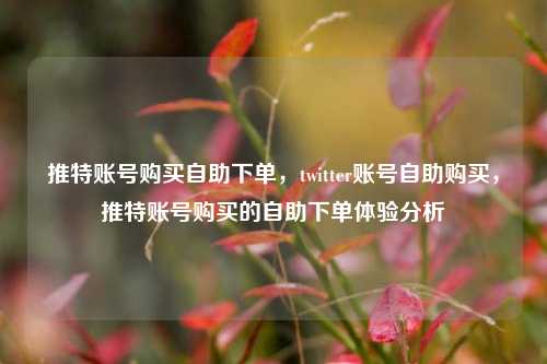 推特账号购买自助下单，twitter账号自助购买，推特账号购买的自助下单体验分析