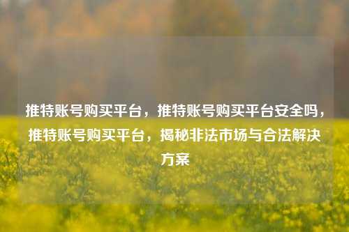 推特账号购买平台，推特账号购买平台安全吗，推特账号购买平台，揭秘非法市场与合法解决方案