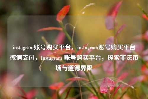 instagram账号购买平台，instagram账号购买平台微信支付，Instagram 账号购买平台，探索非法市场与道德界限