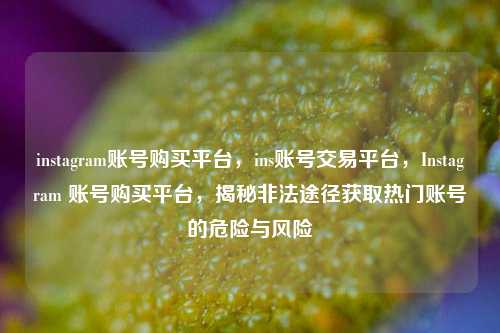 instagram账号购买平台，ins账号交易平台，Instagram 账号购买平台，揭秘非法途径获取热门账号的危险与风险
