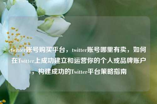 twitter账号购买平台，twitter账号哪里有卖，如何在Twitter上成功建立和运营你的个人或品牌账户，构建成功的Twitter平台策略指南
