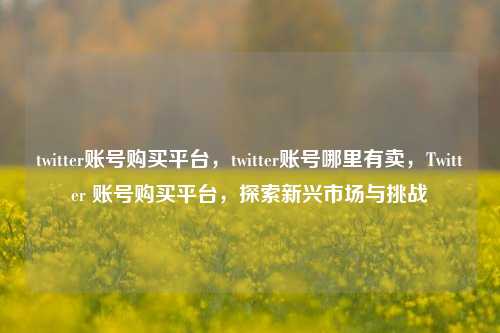 twitter账号购买平台，twitter账号哪里有卖，Twitter 账号购买平台，探索新兴市场与挑战