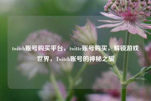 twitch账号购买平台，twitte账号购买，解锁游戏世界，Twitch账号的神秘之旅