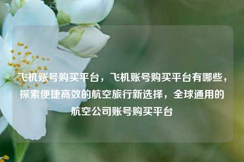 飞机账号购买平台，飞机账号购买平台有哪些，探索便捷高效的航空旅行新选择，全球通用的航空公司账号购买平台