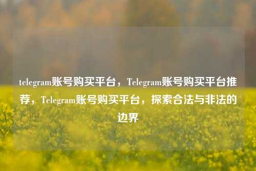 telegram账号购买平台，Telegram账号购买平台推荐，Telegram账号购买平台，探索合法与非法的边界