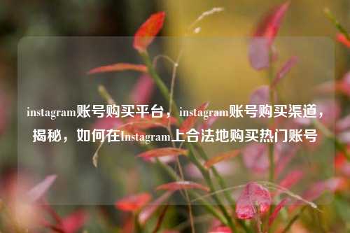 instagram账号购买平台，instagram账号购买渠道，揭秘，如何在Instagram上合法地购买热门账号