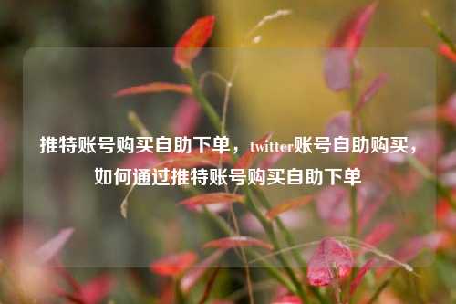 推特账号购买自助下单，twitter账号自助购买，如何通过推特账号购买自助下单