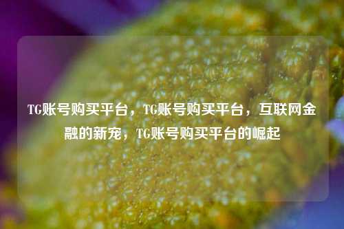 TG账号购买平台，TG账号购买平台，互联网金融的新宠，TG账号购买平台的崛起