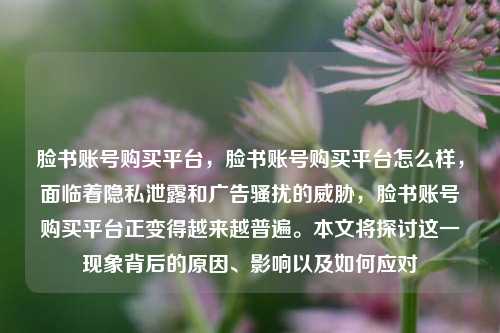 脸书账号购买平台，脸书账号购买平台怎么样，面临着隐私泄露和广告骚扰的威胁，脸书账号购买平台正变得越来越普遍。本文将探讨这一现象背后的原因、影响以及如何应对