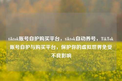 tiktok账号自护购买平台，tiktok自动养号，TikTok账号自护与购买平台，保护你的虚拟世界免受不良影响