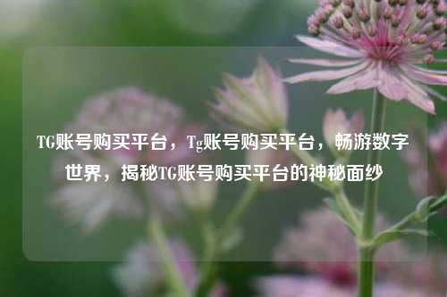 TG账号购买平台，Tg账号购买平台，畅游数字世界，揭秘TG账号购买平台的神秘面纱