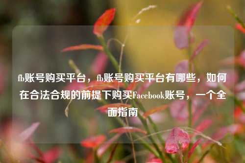 fb账号购买平台，fb账号购买平台有哪些，如何在合法合规的前提下购买Facebook账号，一个全面指南