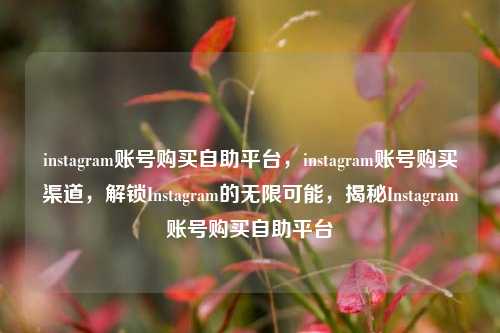 instagram账号购买自助平台，instagram账号购买渠道，解锁Instagram的无限可能，揭秘Instagram账号购买自助平台