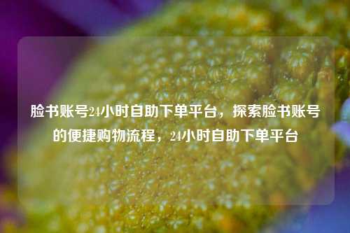 脸书账号24小时自助下单平台，探索脸书账号的便捷购物流程，24小时自助下单平台