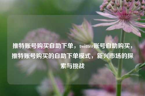 推特账号购买自助下单，twitter账号自助购买，推特账号购买的自助下单模式，新兴市场的探索与挑战