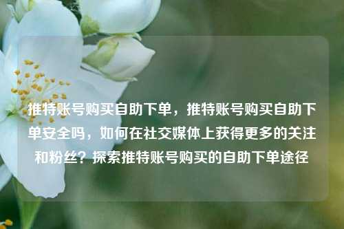 推特账号购买自助下单	，推特账号购买自助下单安全吗，如何在社交媒体上获得更多的关注和粉丝？探索推特账号购买的自助下单途径  第1张