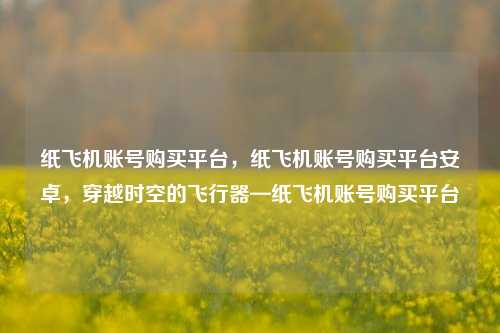 纸飞机账号购买平台，纸飞机账号购买平台安卓，穿越时空的飞行器—纸飞机账号购买平台