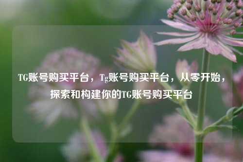TG账号购买平台，Tg账号购买平台，从零开始，探索和构建你的TG账号购买平台