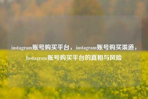instagram账号购买平台，instagram账号购买渠道，Instagram账号购买平台的真相与风险
