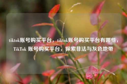 tiktok账号购买平台，tiktok账号购买平台有哪些，TikTok 账号购买平台，探索非法与灰色地带