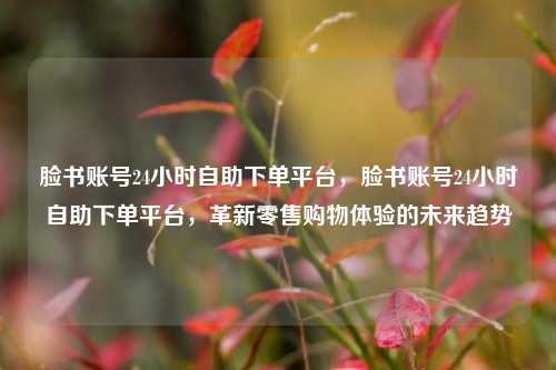 脸书账号24小时自助下单平台，脸书账号24小时自助下单平台，革新零售购物体验的未来趋势