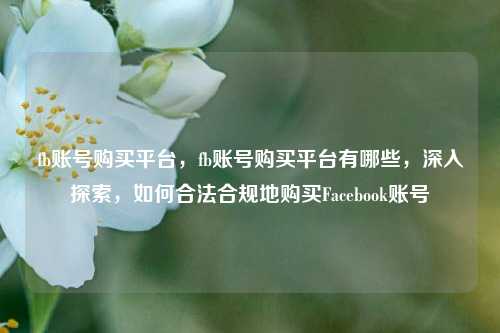 fb账号购买平台，fb账号购买平台有哪些，深入探索，如何合法合规地购买Facebook账号