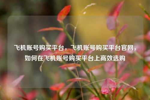 飞机账号购买平台，飞机账号购买平台官网，如何在飞机账号购买平台上高效选购