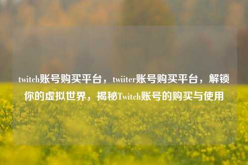 twitch账号购买平台，twiiter账号购买平台，解锁你的虚拟世界，揭秘Twitch账号的购买与使用