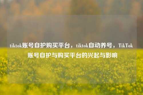 tiktok账号自护购买平台，tiktok自动养号，TikTok 账号自护与购买平台的兴起与影响