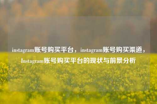 instagram账号购买平台，instagram账号购买渠道，Instagram账号购买平台的现状与前景分析