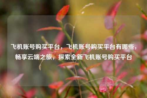 飞机账号购买平台，飞机账号购买平台有哪些，畅享云端之旅，探索全新飞机账号购买平台