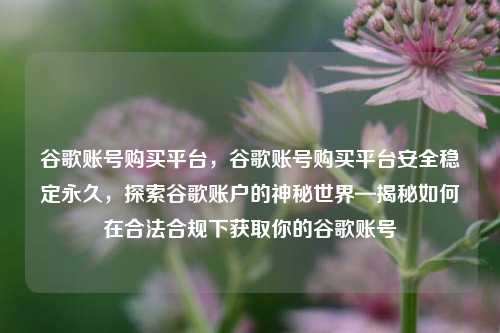谷歌账号购买平台，谷歌账号购买平台安全稳定永久，探索谷歌账户的神秘世界—揭秘如何在合法合规下获取你的谷歌账号